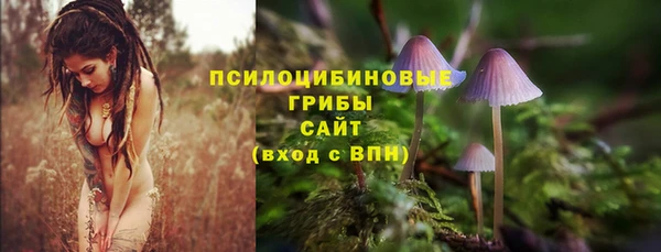 прущие грибы Алексеевка