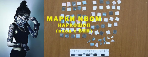 прущие грибы Алексеевка