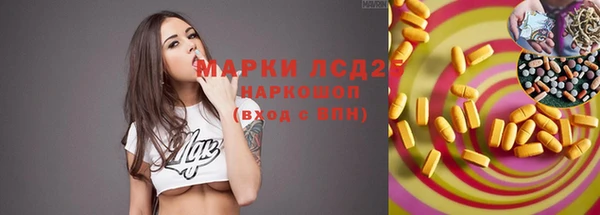 прущие грибы Алексеевка